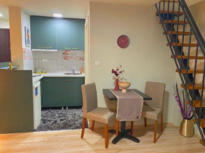 Central family apartment